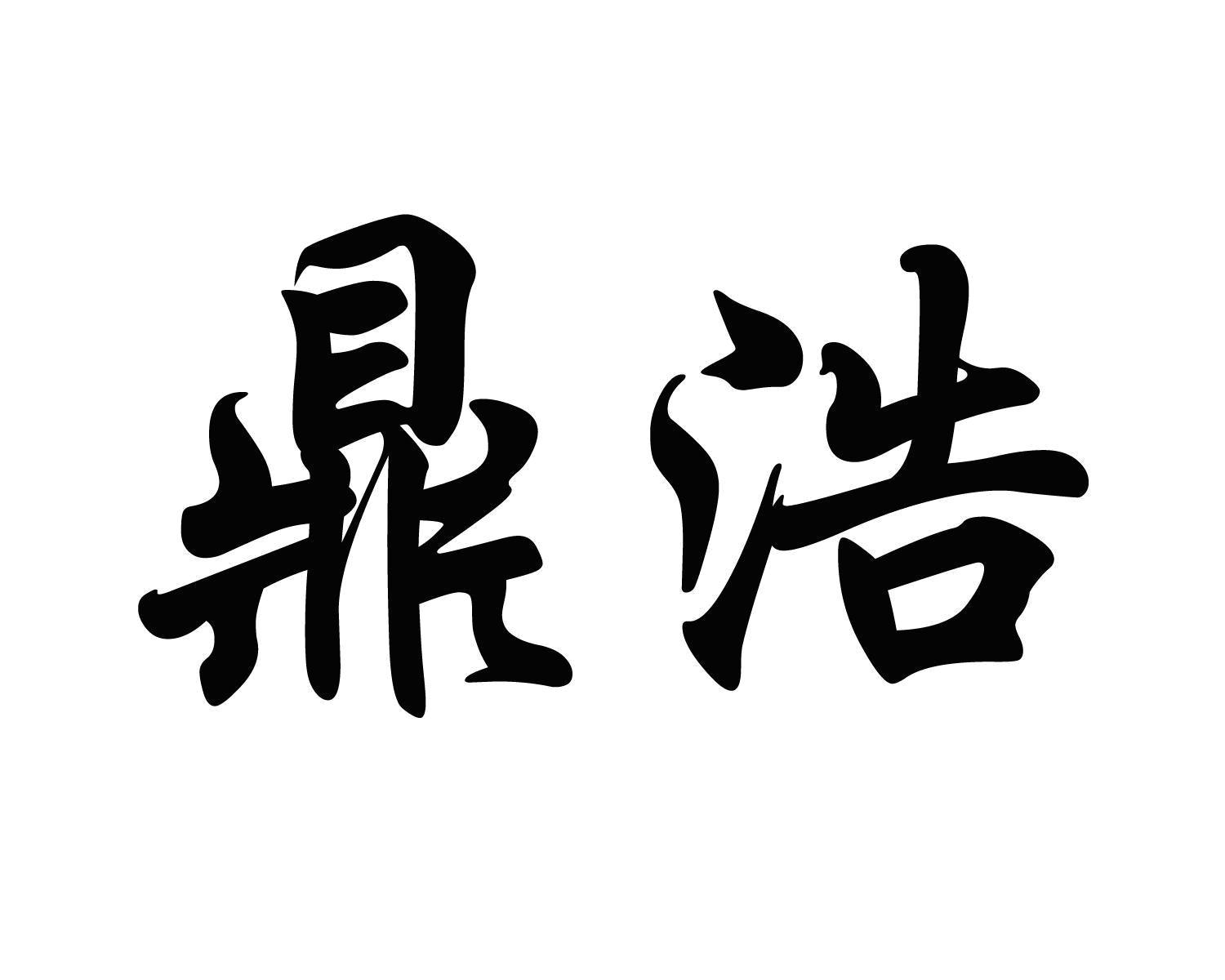 鼎浩与鼎灿博 双子星企业的崛起与传承